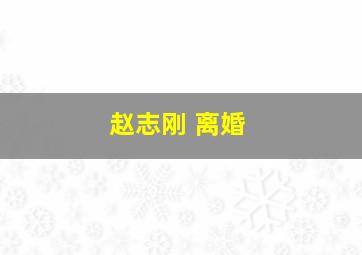 赵志刚 离婚